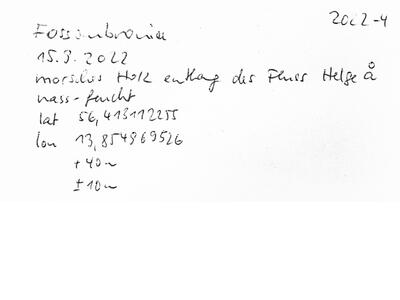 fossombronia foveolata frisch herbarbeleg