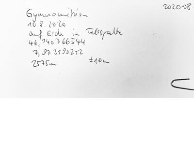 gymnomitrion concinnatum herbarbeleg